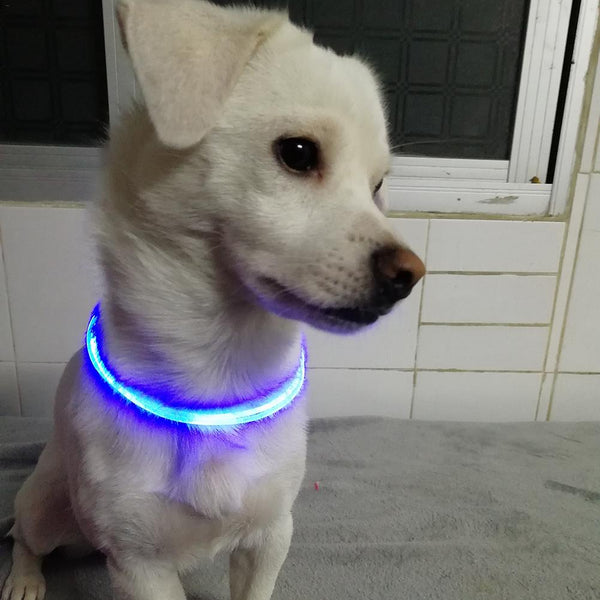 5 color LED Pet Collar Luminous Adjustable Pet Safety Collars Water Resistant Flashing Light