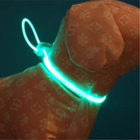 5 color LED Pet Collar Luminous Adjustable Pet Safety Collars Water Resistant Flashing Light