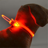 5 color LED Pet Collar Luminous Adjustable Pet Safety Collars Water Resistant Flashing Light