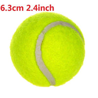 9.5Inch Dog Tennis Ball Giant Pet Toys for Dog Chewing Toy Signature Mega Jumbo Kids Toy Ball For Dog Training Supplies Dropship